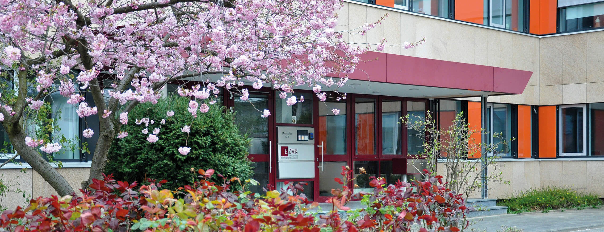 Bl&uuml;hender Kirschbaum vor dem B&uuml;rogeb&auml;ude der EZVK